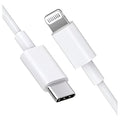 Type-C to Lightning Cable for iPhone